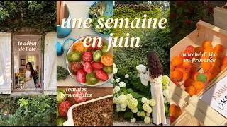 Miniature : Une semaine en juin : marché d'Aix-en-Provence, visite de maison, début de l'été 🫒🍊🌞
