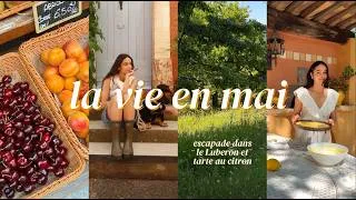 Miniature : Tarte au citron, escapade dans le Luberon (Gordes, Lourmarin…), balades & vie à la campagne