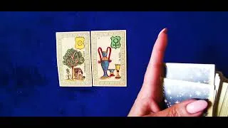 Miniature : OUI /NON Finances /Valeurs /Abondance avec Le Belline 🌟 #tarot #voyance @ClaireVoyance 