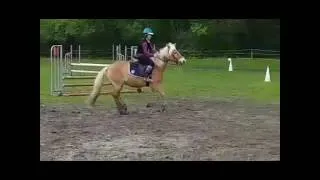 Miniature : Je vous partage ma passion ❤💍🐴