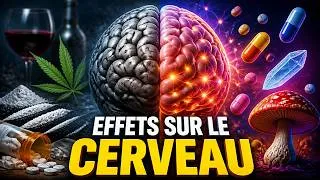 Miniature :  Chaque Types de DROGUES et Ses Effects Expliquée en 8 minutes 