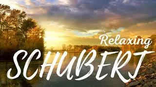 Miniature : Schubert - Quintette Avec Piano En La Majeur,  La Truite , Andante