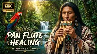 Miniature : FLAUTA DE PAN ANDINA 🍃 Brisa Fresca de Naturaleza y Paz | Leo Rojas y Gheorghe Zamfir
