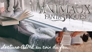 Miniature : ASMR FR - Lecture chuchotée au coin du feu... Les animaux fantastiques vie et habitat  📖