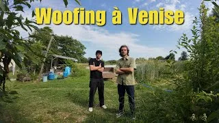 Miniature : Du WOOFING à VENISE ! (+ 2 jours dans les Dolomites)