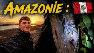 Miniature : MA PREMIÈRE MYGALE EN AMAZONIE ! (Pérou) 🇵🇪 
