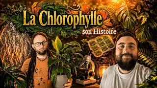 Miniature : La Chlorophylle : son HISTOIRE 🌿feat @hortuspocus