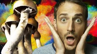 Miniature : J’ai pris une dose héroïque de Psilocybine, et il s’est passé un truc fou !