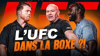 Miniature : Silva vs Lopez, Canelo vs Crawford…