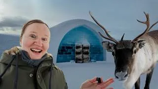 Miniature : J’ai visité l’ICEHOTEL en Suède ❄️ + expérience avec des rennes