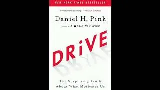 Miniature : Daniel H. Pink – Drive : La vérité surprenante sur la motivation