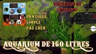 Miniature : NOUVEAU PROJET - AQUARIUM DE 160 litres avec THERMOSTAT NICREW