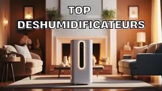 Miniature : Les Meilleurs Déshumidificateurs Pour Votre Maison en 2025 !