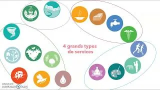 Miniature : Les services écosystémiques