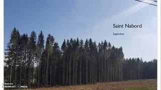 Miniature : La nature à ma fenêtre