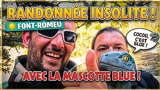 Miniature : Petite Randonnée Avec la Mascotte Baby Blue Dans la Foret de Font Romeu