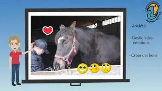 Miniature : Intervention assistée par le cheval - La gestion des émotions