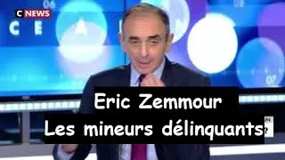 Miniature : Eric Zemmour sur les enfants délinquants, quelle justice pour les mineurs immigrés ? Face à l'info