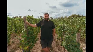 Miniature : PORTRAIT : Jérôme Bretaudeau, icône du vin
