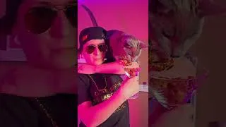 Miniature : Musique de l'été KING Salami