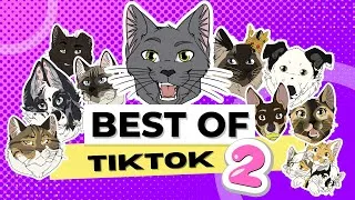 Miniature : Best Of Animaux