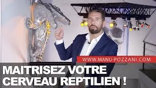 Miniature : Le Processus De Décision D'achat | Maîtrisez Votre Cerveau Reptilien