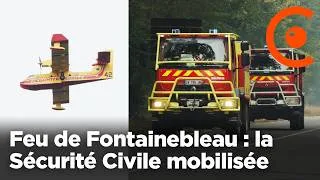 Miniature : 🔥 Feu de Fontainebleau : la Sécurité Civile mobilisée sur le terrain pour lutter contre l'incendie