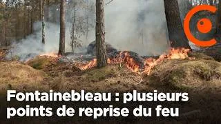 Miniature : 🔥 Fontainebleau : plusieurs reprises de feu dans la forêt ce 14 juillet, déjà 2000 hectares brûlés