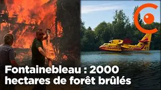 Miniature : 🔥 Fontainebleau : 2000 hectares brûlés dans le plus grand feu de forêt en Île de France - Incendie