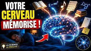 Miniature : Le secret du cerveau pour retenir plus d'informations