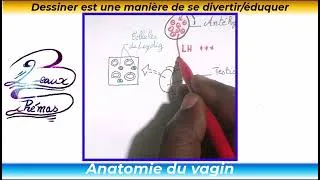 Miniature : Comprendre le Rétrocontrôle Négatif: le guide visuel complet