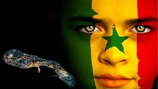 Miniature : Pourquoi le Sénégal est-il si unique ?