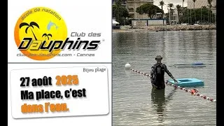 Miniature : École de natation Cannes Club des Dauphins – Ma place, c'est dans l'eau c'est sûr - 2025