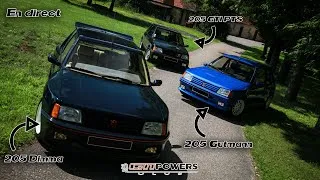 Miniature : Trio Peugeot 205 GTI PTS - Gutmann - Dimma