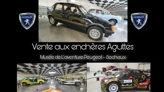 Miniature : Live ventes aux enchères Aguttes Aventure Peugeot Sochaux