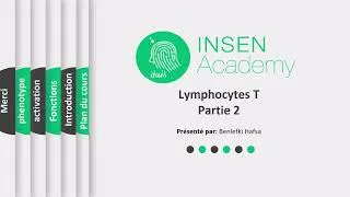 Miniature : Les lymphocytes T - Partie 02