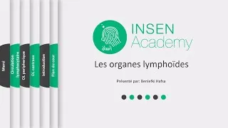 Miniature : Les Organes Lymphoides