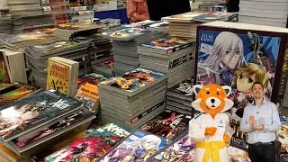 Miniature : #5 Les mangas