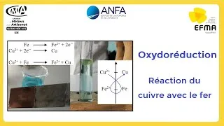 Miniature : Oxydoréduction, réaction entre l'élément cuivre et l'élément fer. Règle du gamma.