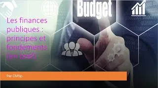 Miniature : Les finances publiques - principes et fondamentaux budgétaires et financiers