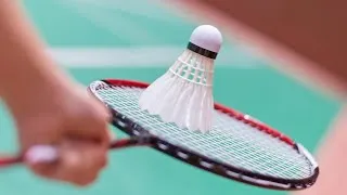 Miniature : Badminton - Championnat de France