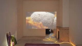 Miniature : [SUITE 2025] Retour sur l'exposition « Dispersion(s). Documents partagés » de S. Lagarde & C. Jopëck