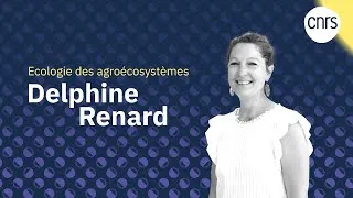 Miniature : Delphine Renard : La diversité au service d'une agriculture durable et équitable | Talents CNRS