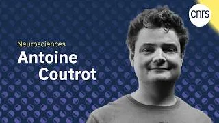 Miniature : Antoine Coutrot, un jeu vidéo pour détecter Alzheimer I Talents CNRS