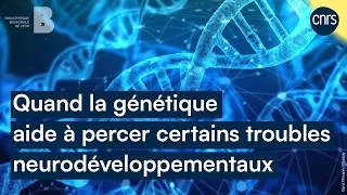 Miniature : Quand la génétique aide à percer certains troubles neurodéveloppementaux