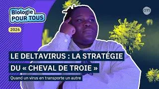 Miniature : La biologie pour tous | Un virus qui en transporte un autre : le « cheval de Troie » des deltavirus