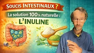 Miniature : Souci de digestion ? Mal au ventre ou aux intestins ?