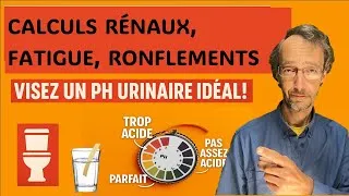 Miniature : Fatigue, ronflements ( + apnée du sommeil), calculs rénaux?  Surveillez votre ph (acidité) urinaire.
