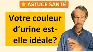 Miniature : Pour être en forme et réduire la fatigue, ajustez la couleur de vos urines !
