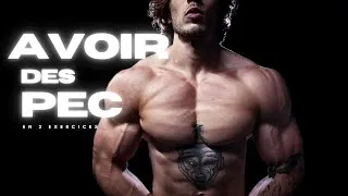 Miniature : DES PECS DE FOLIE